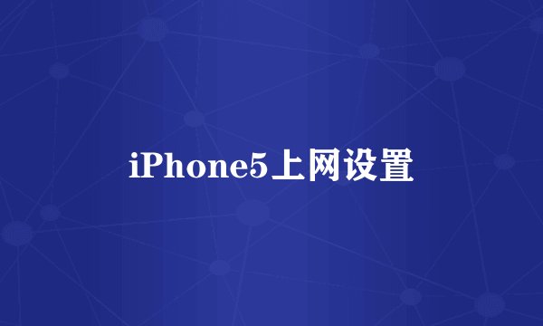 iPhone5上网设置