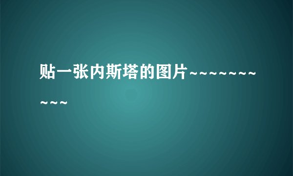 贴一张内斯塔的图片~~~~~~~~~~