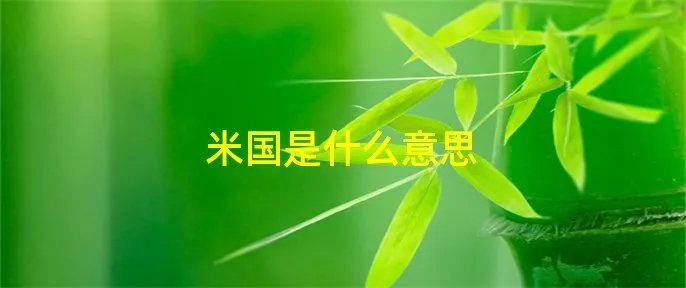 米国是什么意思