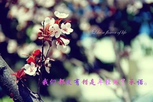 一品村夫陈飞吴雪梅小说免费阅读