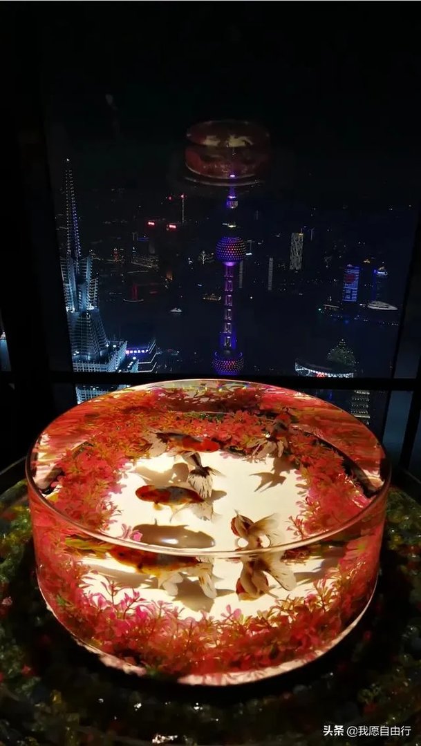 上海环球金融中心观光天阁好玩不?