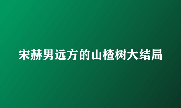 宋赫男远方的山楂树大结局
