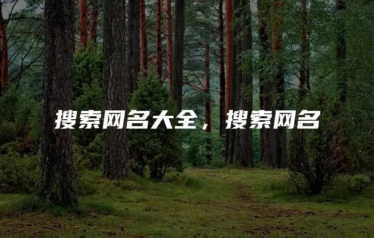 搜索网名大全，搜索网名