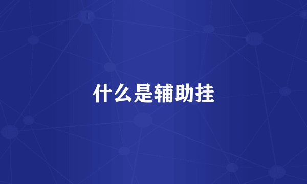 什么是辅助挂