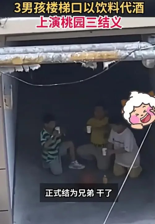 太可爱！跪楼道饮料代酒桃园结义，怎么看这三个小男孩的行为呢？