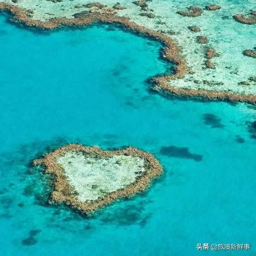 为何有些人喜欢去澳洲旅游?