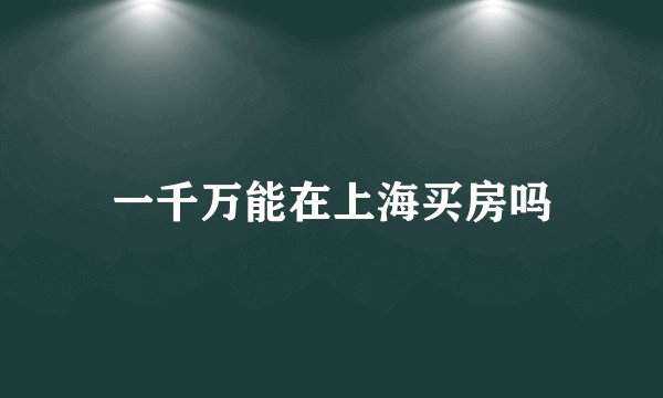 一千万能在上海买房吗