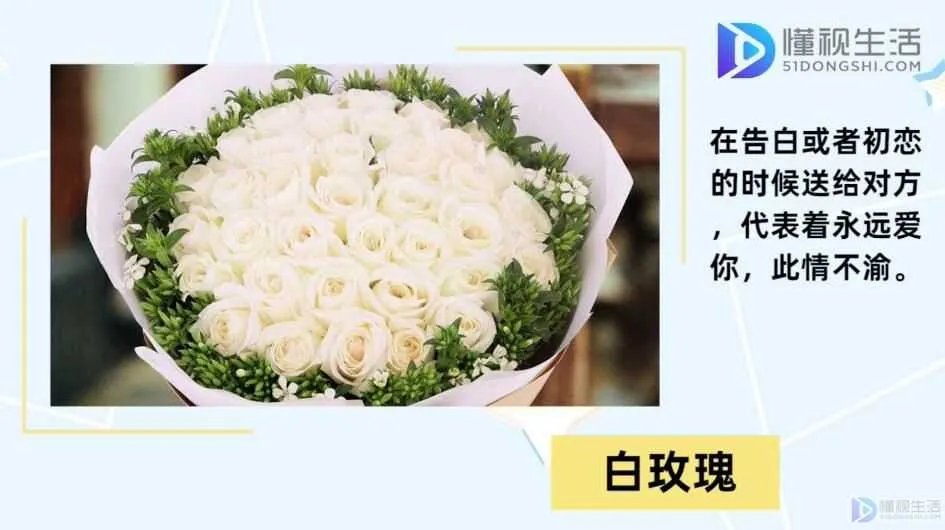 20朵玫瑰代表什么花语