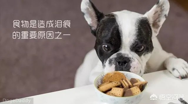 狗狗泪痕怎么解决？