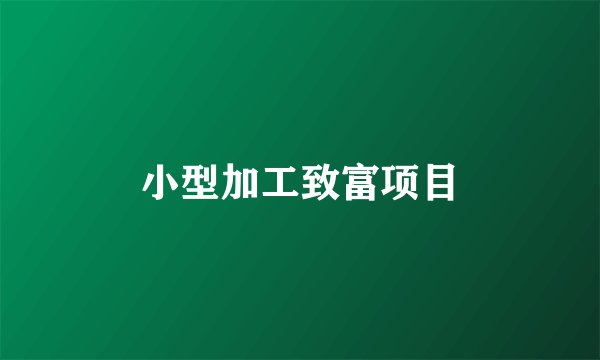 小型加工致富项目