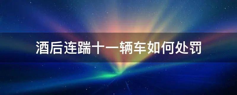 酒后连踹十一辆车如何处罚