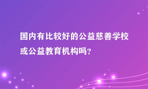 国内有比较好的公益慈善学校或公益教育机构吗？