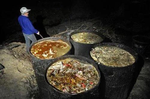 小龙坎老板指使厨师采购地沟油,其该受到怎样的惩罚?