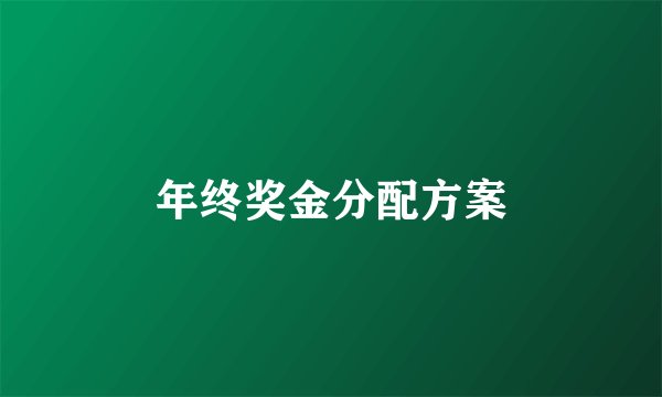 年终奖金分配方案