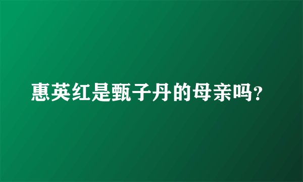 惠英红是甄子丹的母亲吗？