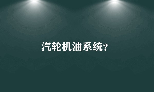 汽轮机油系统？