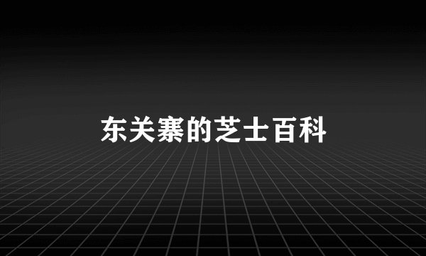 东关寨的芝士百科