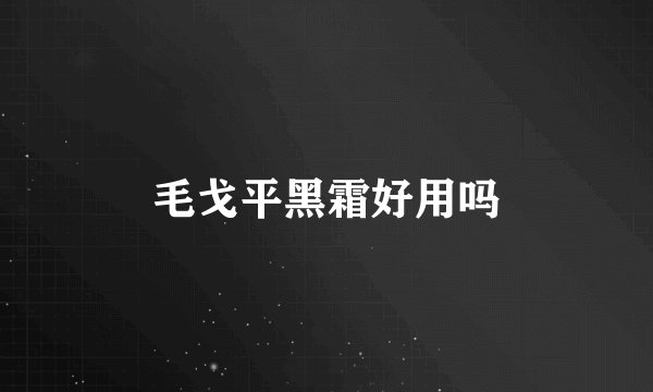 毛戈平黑霜好用吗
