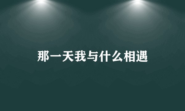 那一天我与什么相遇