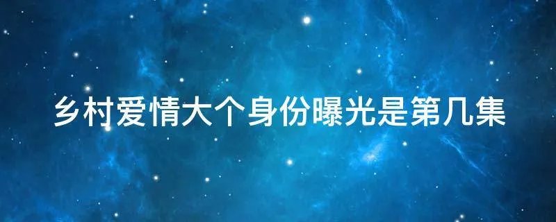 乡村爱情大个身份曝光是第几集