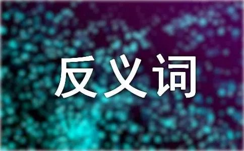粗心的反义词