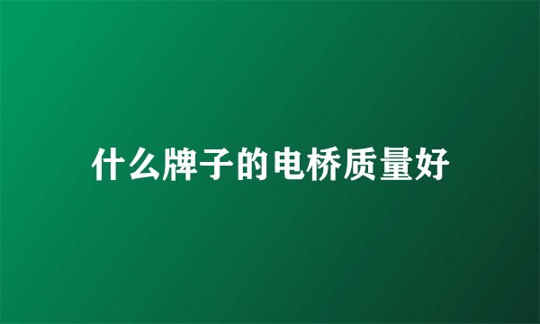 什么牌子的电桥质量好