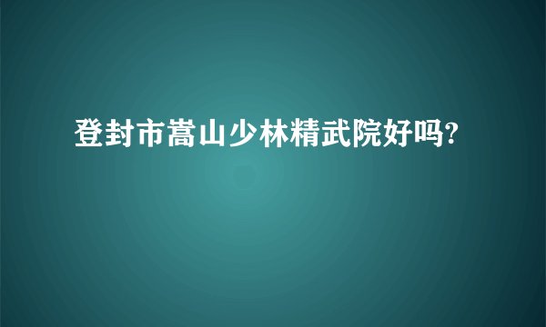 登封市嵩山少林精武院好吗?