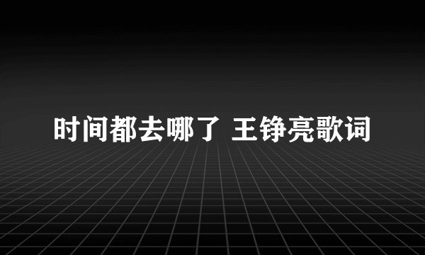时间都去哪了 王铮亮歌词