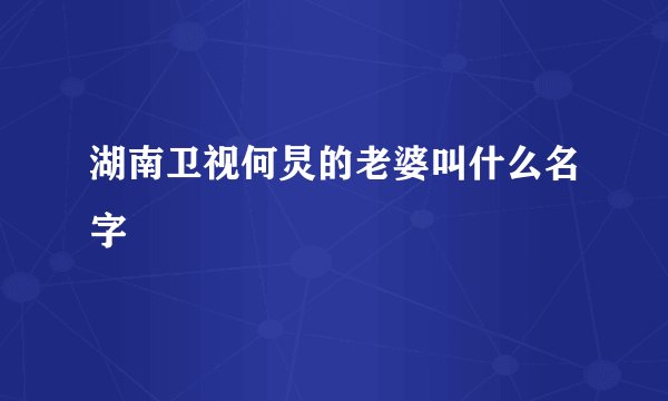 湖南卫视何炅的老婆叫什么名字