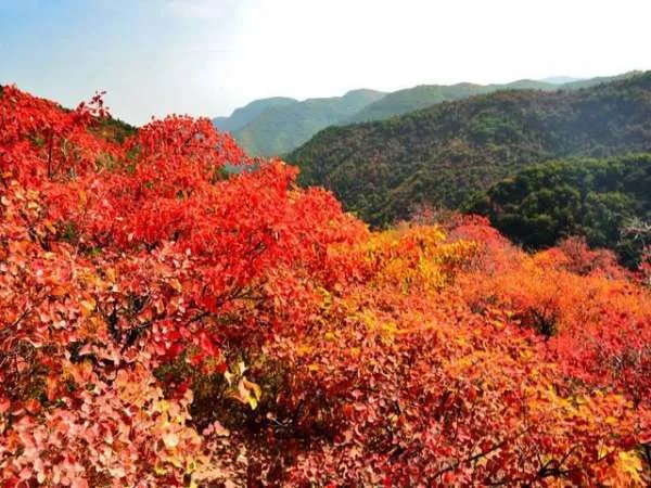 在北京坐地铁怎么去香山