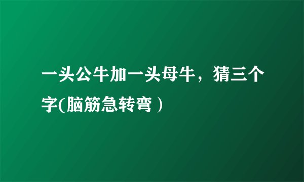 一头公牛加一头母牛，猜三个字(脑筋急转弯）