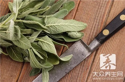 薄荷热量
