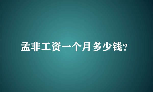 孟非工资一个月多少钱？