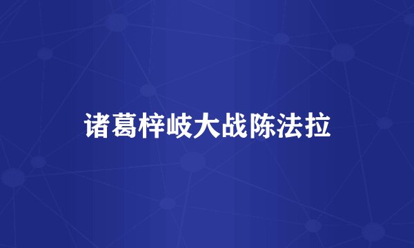 诸葛梓岐大战陈法拉