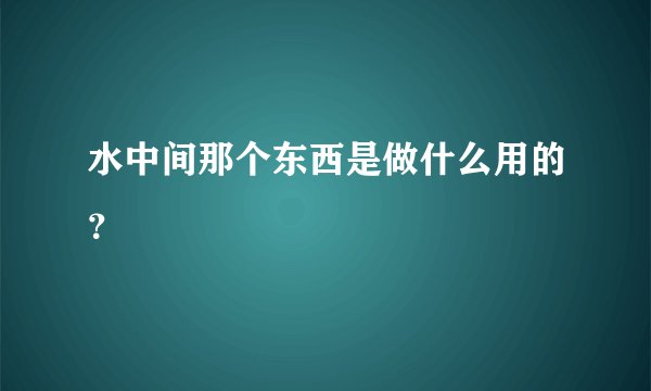 水中间那个东西是做什么用的？