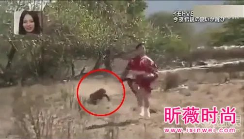 女子勾引巨蜥 场面让人目瞪口呆（组图）
