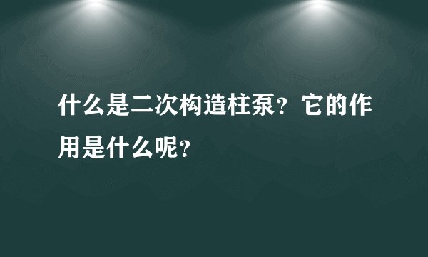 什么是二次构造柱泵？它的作用是什么呢？