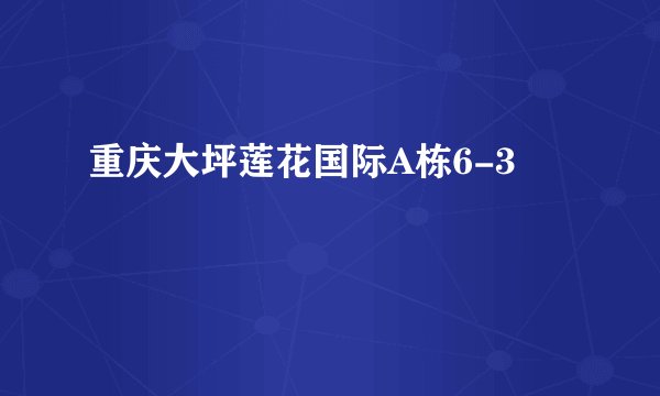 重庆大坪莲花国际A栋6-3