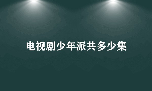 电视剧少年派共多少集
