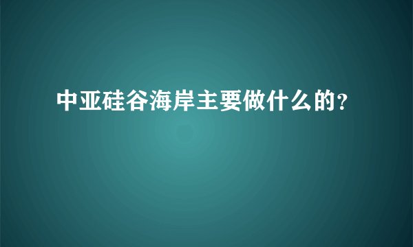 中亚硅谷海岸主要做什么的?