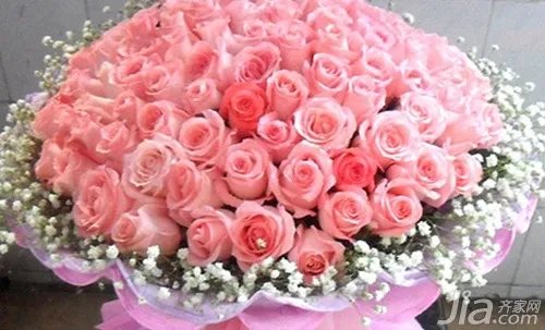 粉玫瑰花语是什么 粉玫瑰花语大全