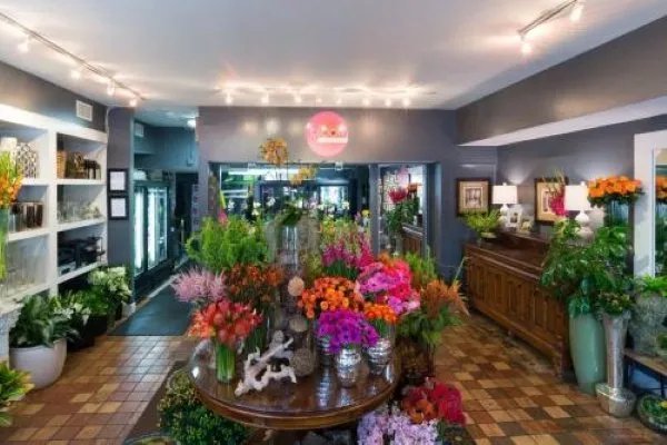 深圳宝安哪里有鲜花店?