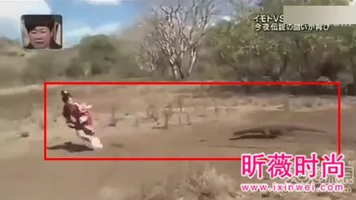 女子勾引巨蜥 场面让人目瞪口呆（组图）