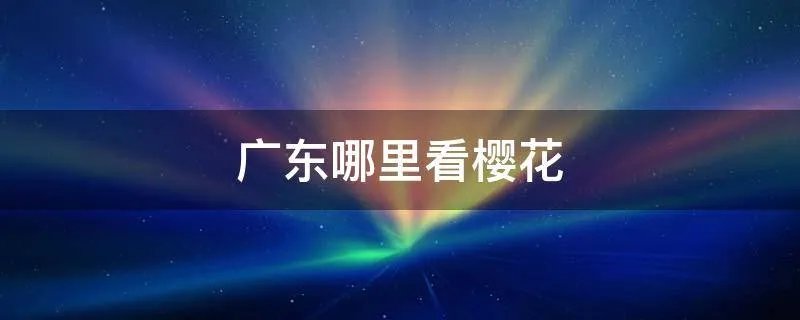 广东哪里看樱花