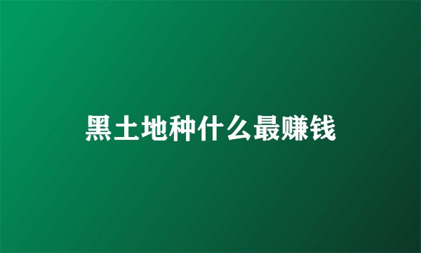 黑土地种什么最赚钱