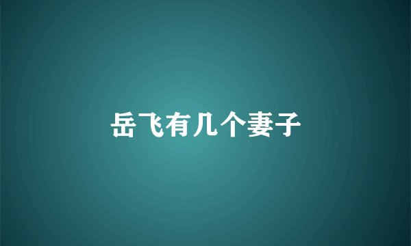 岳飞有几个妻子