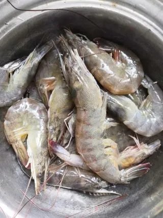 虾枣