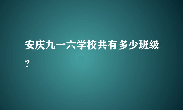 安庆九一六学校共有多少班级？
