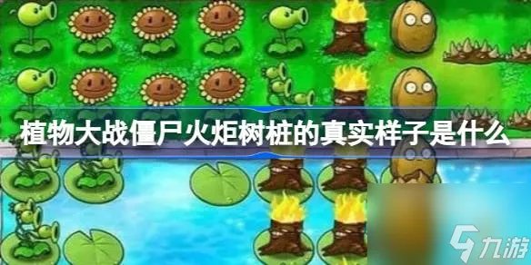 植物大战僵尸火炬树桩介绍