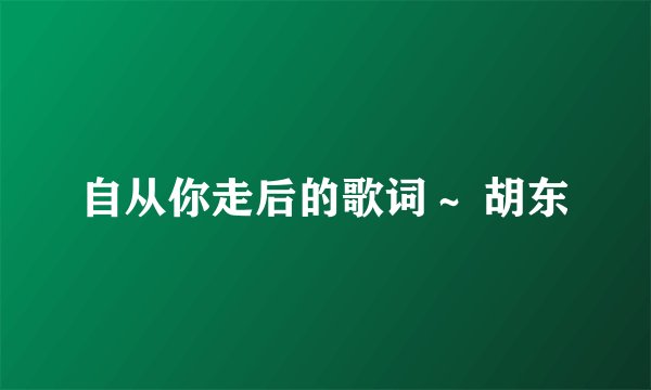 自从你走后的歌词~ 胡东